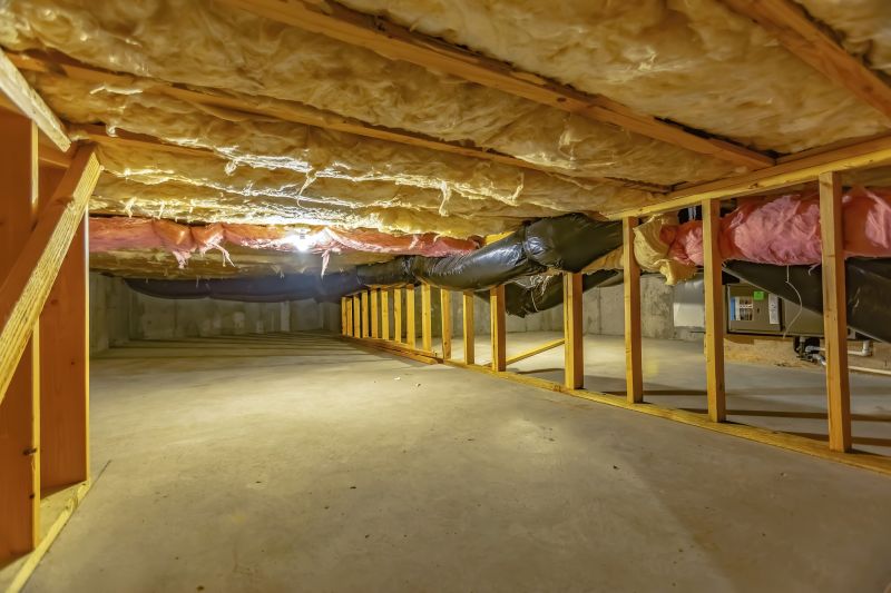 Crawlspace with Encapsulation Panels